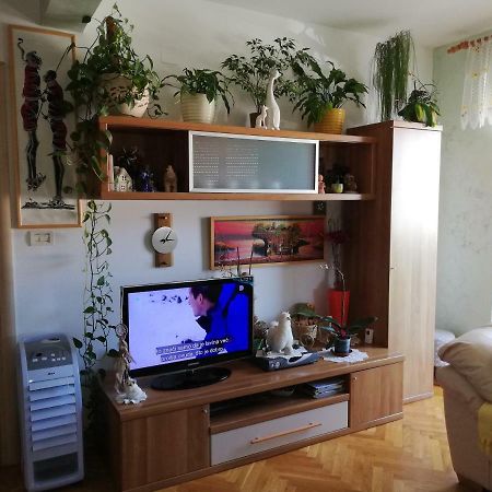 Cuore Di Umago Bagian luar foto